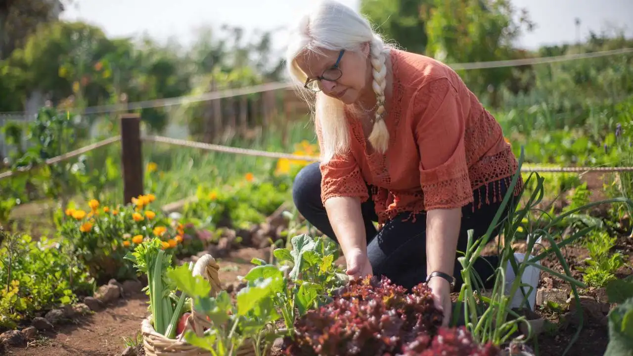 Exercises To Lower Alzheimer's Risk