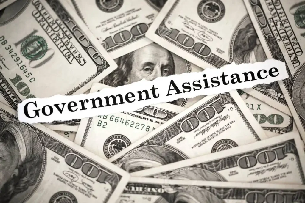 Is Your Family Eligible? A Look at Government Assistance