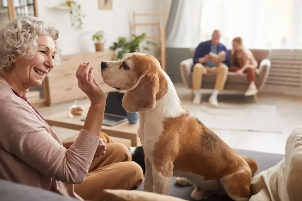 how to take a pet away from a dementia patient