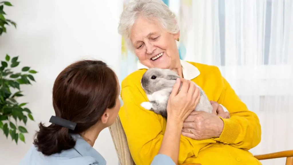 How Pets Improve Mental Health In Seniors