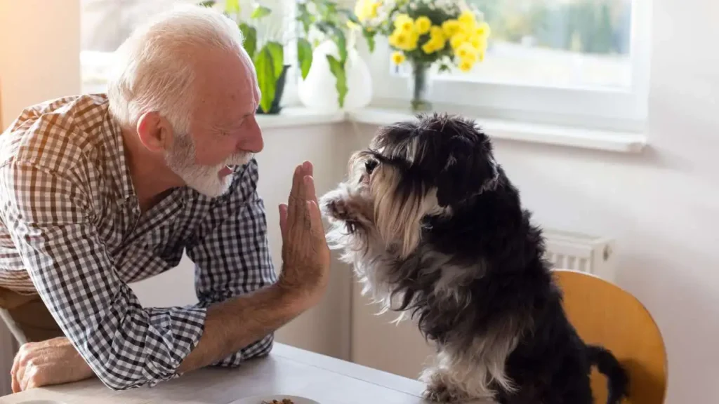 Seniors on Keeping Pets Happy