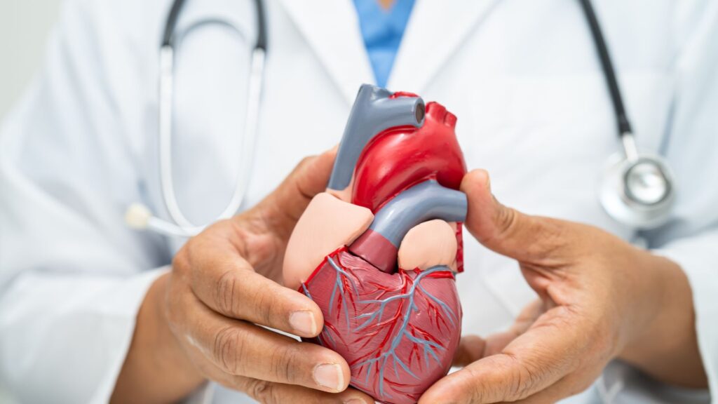 The Link Between Cardiovascular Health and Dementia