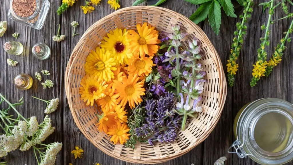 Essential Oils for Rheumatoid Arthritis Relief