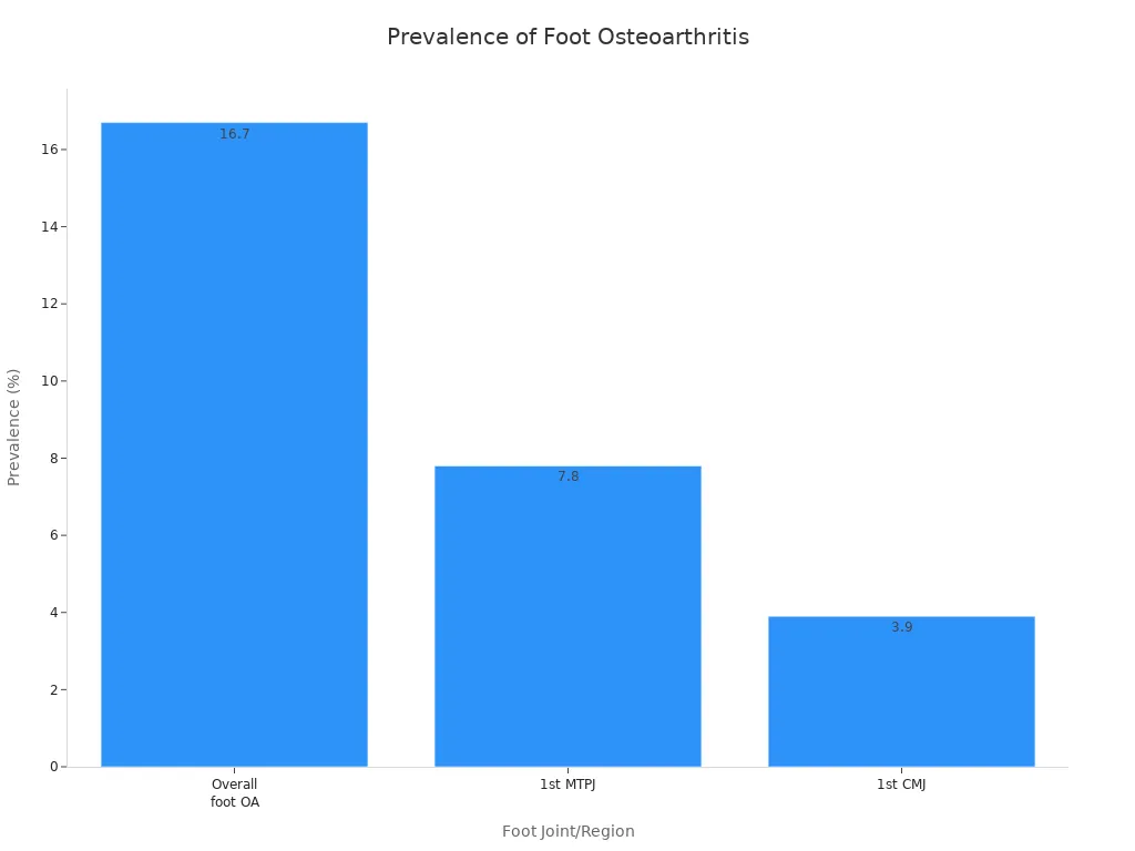 prevalence of osteoarthritis in overall foot, 1st MTPJ, and 1st CMJ among adults